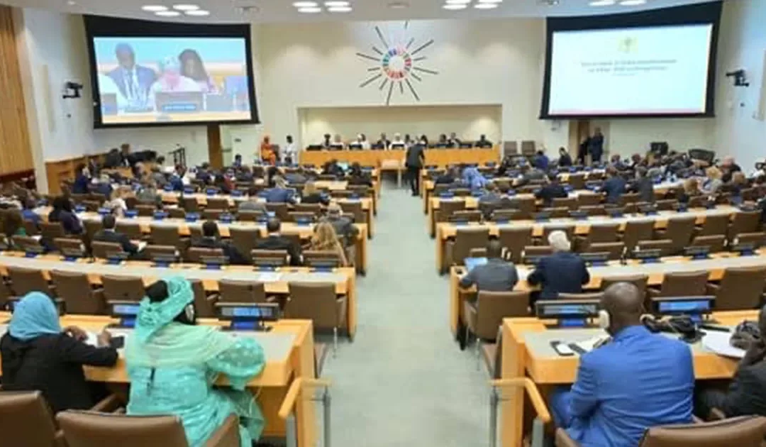 DECLARATION CONJOINTE : 78e session de l’Assemblée générale des Nations Unies sur « Le retour à l’ordre constitutionnel au Tchad « Défis et Perspectives ».