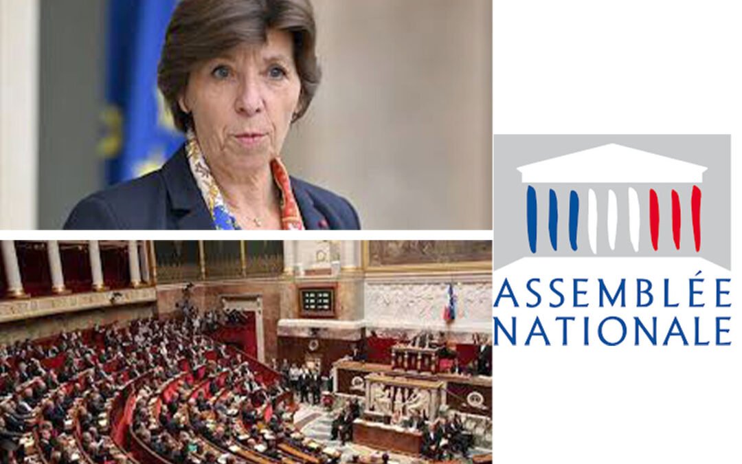 France/Afrique :  Nouvelle vision des partenariats.
