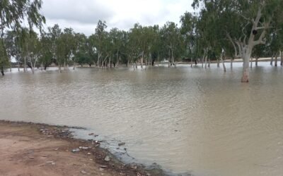 Tchad : Une catastrophe humanitaire dévastatrice – 145 morts et près d’un million de personnes touchées par les inondations