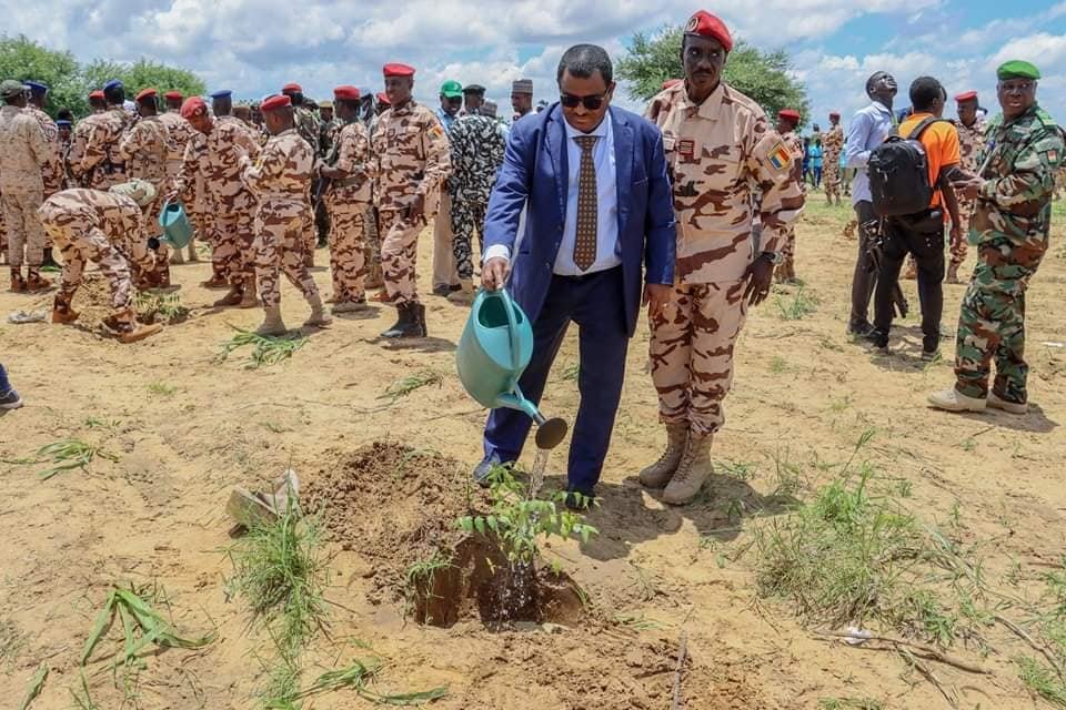 Reboisement au Tchad : 1 600 arbres plantés !