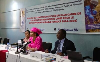 Cadre de Coopération UNSDCF 2024-2026 entre le Gouvernement du Tchad et les Nations Unies : Premières Réunions et Perspectives.