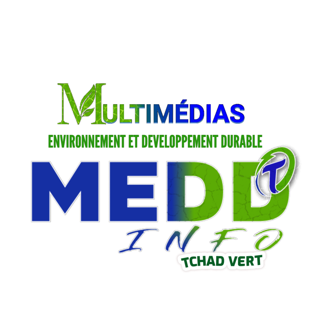 MEDD TV INFO