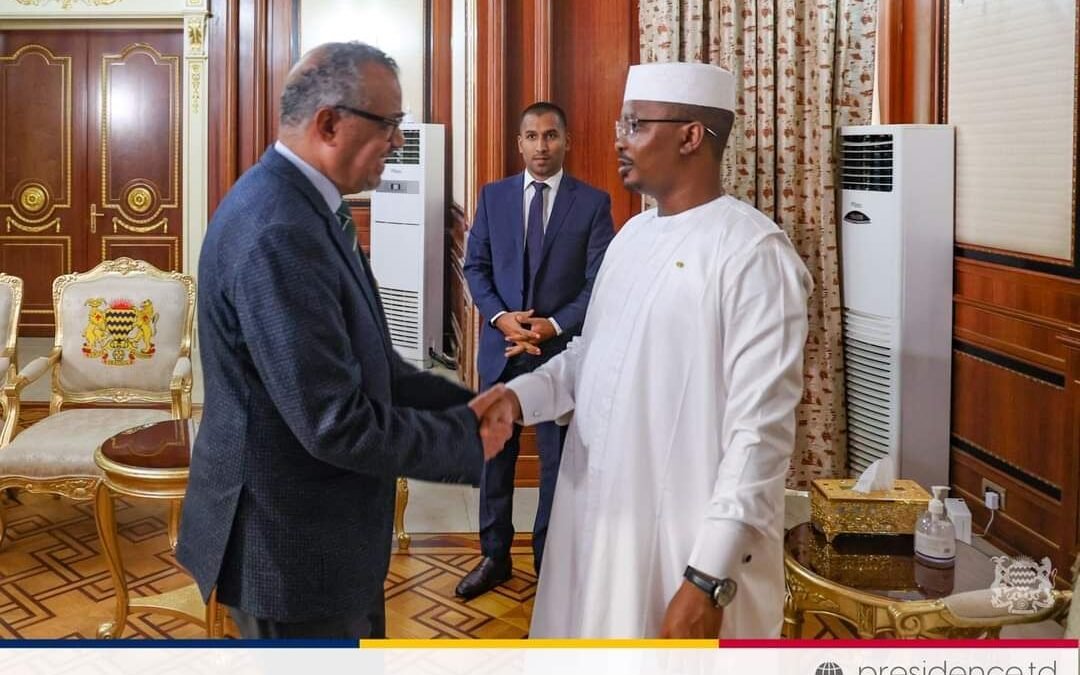 SANTÉ : Le Directeur Général de l’OMS reçu par le Chef de l’Etat