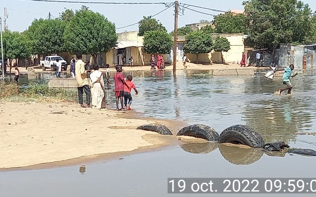 OPINION |𝙐𝙧𝙜𝙚𝙣𝙘𝙚 𝙘𝙡𝙞𝙢𝙖𝙩𝙞𝙦𝙪𝙚 𝙖𝙪 𝙏𝙘𝙝𝙖𝙙 𝙚𝙩 𝙚𝙣 𝘼𝙛𝙧𝙞𝙦𝙪𝙚 : 𝙐𝙣 𝙖𝙥𝙥𝙚𝙡 à 𝙡𝙖 𝙨𝙤𝙡𝙞𝙙𝙖𝙧𝙞𝙩é 𝙛𝙖𝙘𝙚 𝙖𝙪𝙭 𝙞𝙣𝙤𝙣𝙙𝙖𝙩𝙞𝙤𝙣𝙨 𝙙é𝙫𝙖𝙨𝙩𝙖𝙩𝙧𝙞𝙘𝙚𝙨.