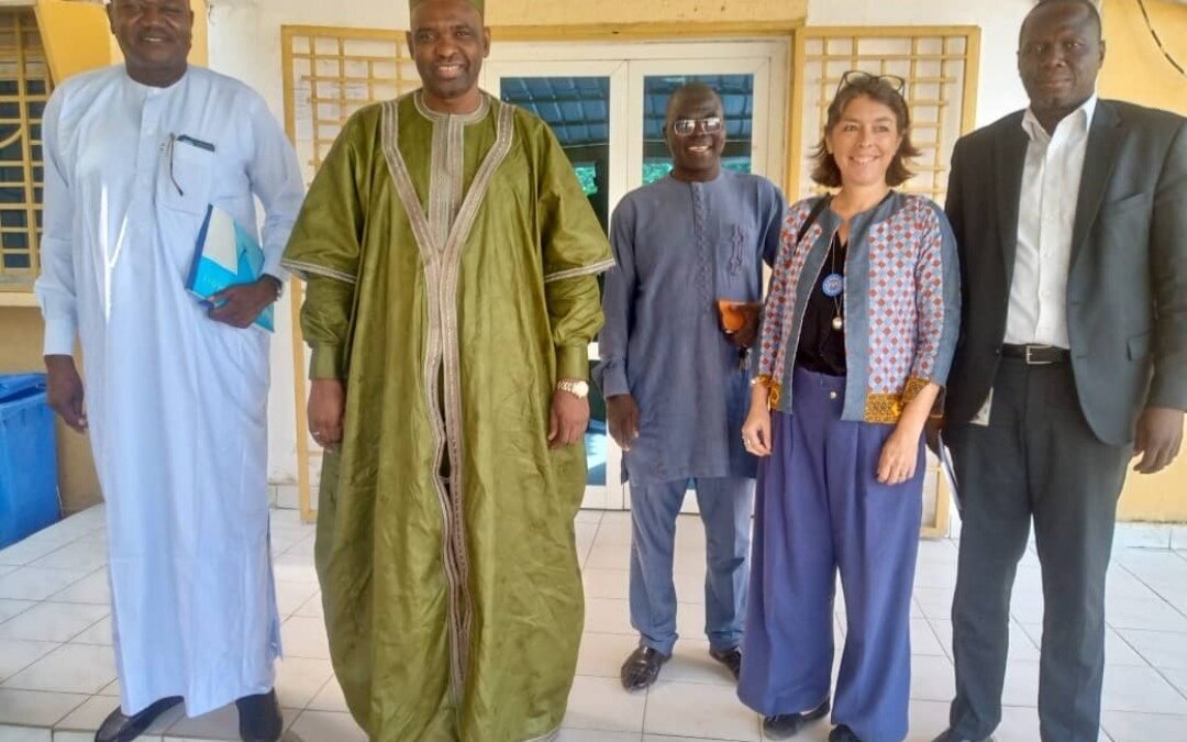 La HAMA et l’Union Européenne s’allient pour renforcer la résilience à la désinformation au Tchad et dans le Sahel