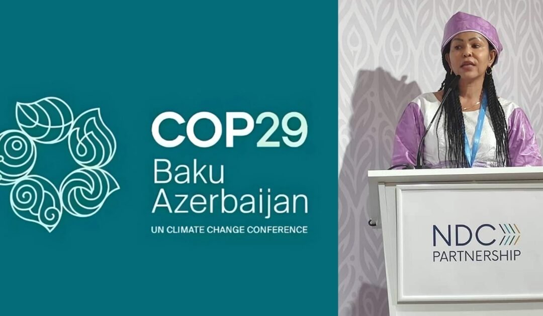 COP 29 : Le Tchad Face aux Défis Climatiques – Une Vision Ambitieuse et Holistique