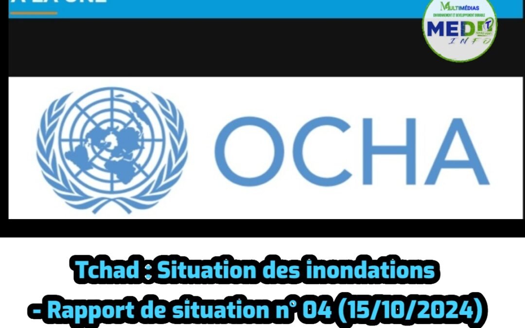 Tchad : Situation des inondations – Rapport de situation n° 04 (15/10/2024