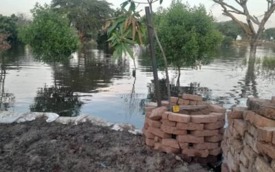 Environnement : Montée des eaux à Toukra Sokolo : une urgence pour la sécurité et la santé des habitants