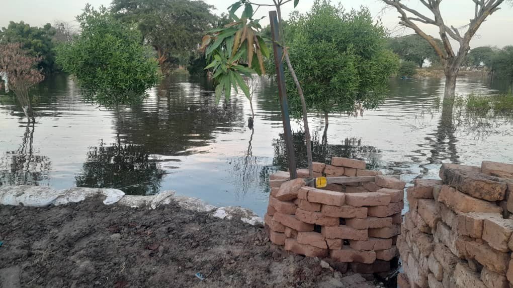 Environnement : Montée des eaux à Toukra Sokolo : une urgence pour la sécurité et la santé des habitants