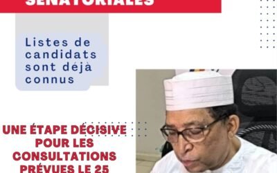 Élections Sénatoriales au Tchad : Publication des Listes Provisoires des Candidats Retenus