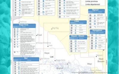 Tchad : Publication de la carte sur la présence physique et opérationnelle au Lac – Janvier 2025