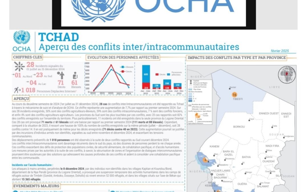 Tchad : Escalade des conflits inter/intracommunautaires – Bilan et perspectives, février 2025