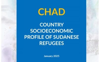 Profil socioéconomique des réfugiés soudanais au Tchad, janvier 2025  : Un Refuge Face à la Crise Soudanaise