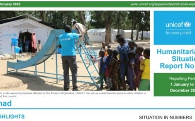 Rapport UNICEF-Tchad : Une Crise Humanitaire Sans Précédent Appelle une Réponse Urgente