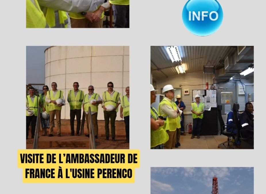 Coopération Économique : M. Éric Gérard Salue les Investissements de PERENCO au Tchad