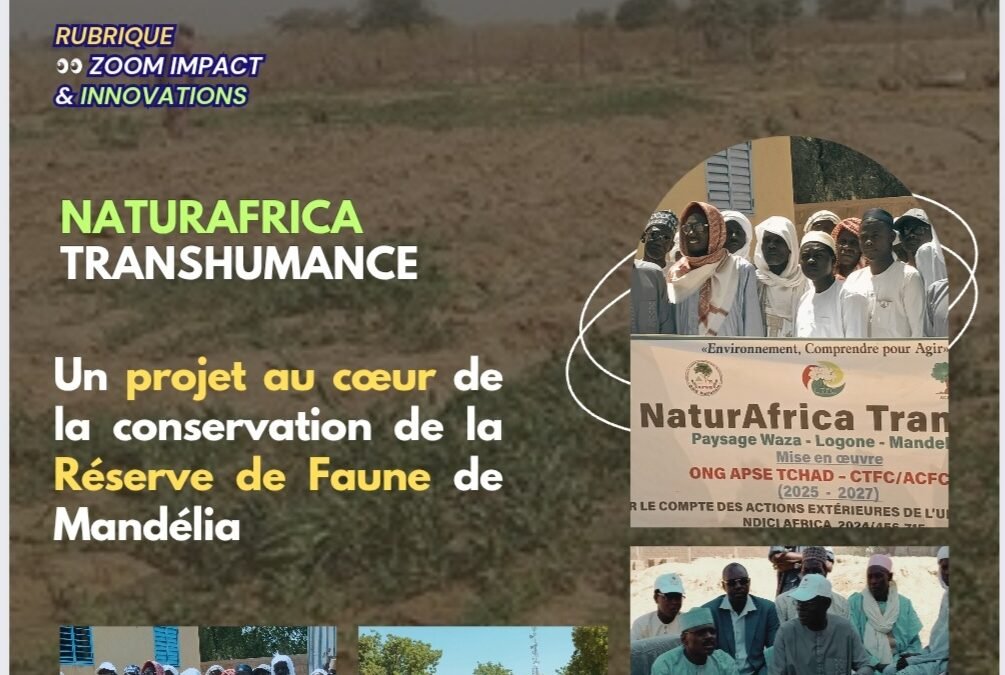 Zoom Impact & Innovation >NaturAfrica Transhumance : Un projet au cœur de la conservation de la Réserve de Faune de Mandélia