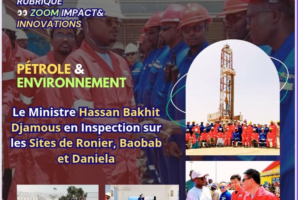 Pétrole et Environnement : Le Ministre Hassan Bakhit Djamous en Inspection sur les Sites de Ronier, Baobab et Daniela