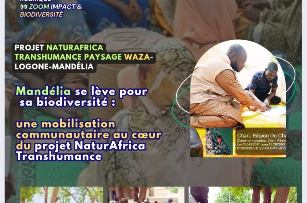 Zoom Impact & Innovations | Mandélia se lève pour sa biodiversité : une mobilisation communautaire au cœur du projet NaturAfrica Transhumance