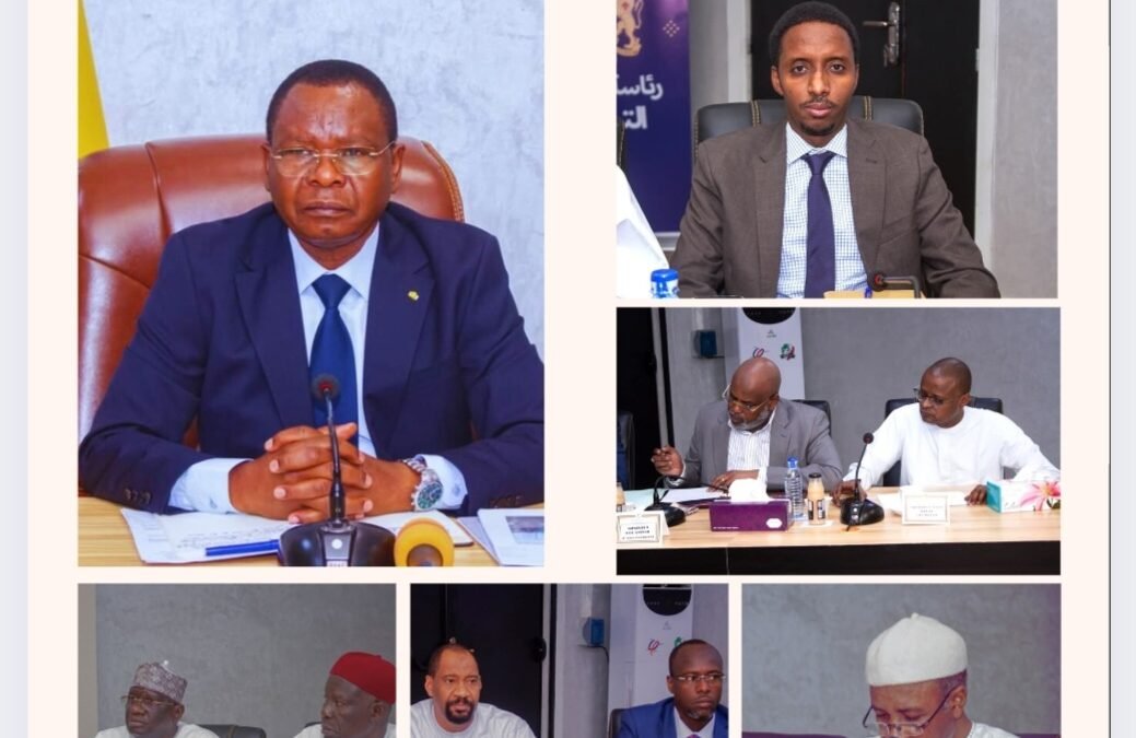 Inondations au Tchad : l’État en alerte maximale – le Comité national active la riposte