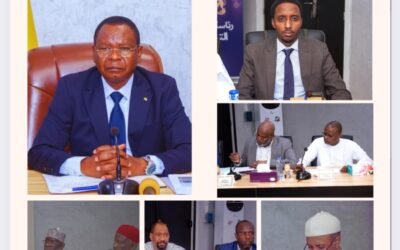 Inondations au Tchad : l’État en alerte maximale – le Comité national active la riposte