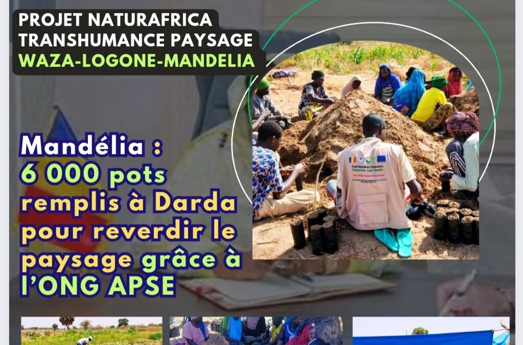 À DARDA, l’espoir pousse en pot : 6 000 contenants prêts pour reverdir Mandélia