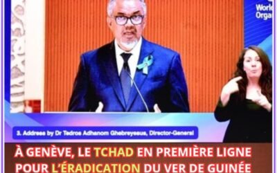 À Genève, le Tchad en première ligne pour l’éradication du ver de Guinée et des maladies tropicales négligées