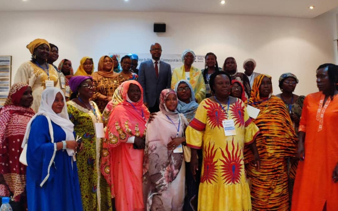 Tchad : Une Nouvelle Ère pour l’Entrepreneuriat Féminin se Dessine avec le Lancement de la CNEF