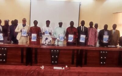 Santé numérique au Tchad : Un virage décisif vers la modernisation du système sanitaire