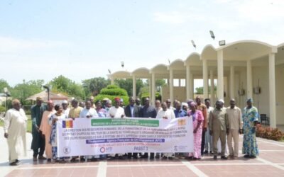 Réforme de la Formation en Santé : Le Tchad Engage une Nouvelle Ère avec le Système LMD et l’Approche Genre