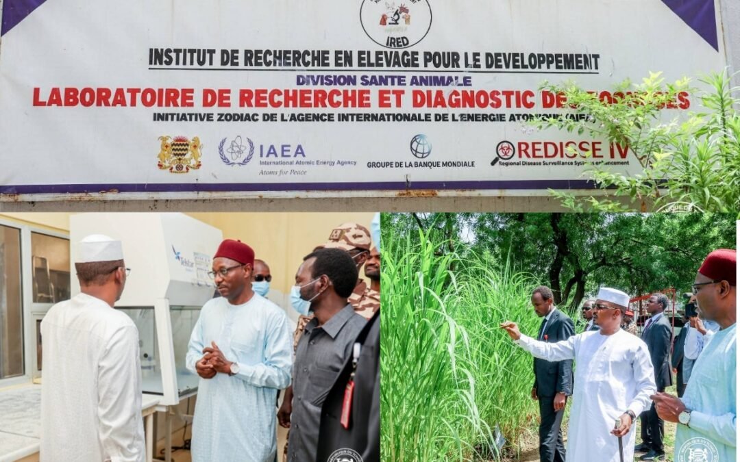 VISITE SURPRISE DU PRÉSIDENT À L’IRED : MAHAMAT IDRISS DEBY ITNO VEUT SAUVER LE JOYAU DE LA RECHERCHE VÉTÉRINAIRE TCHADIENNE