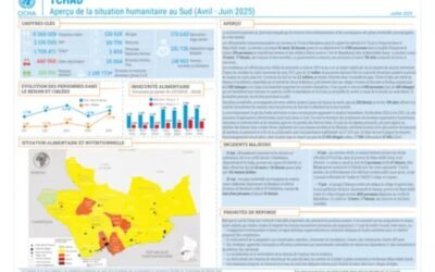 Crise au Sud du Tchad : entre violences intercommunautaires et catastrophes naturelles, les populations en détresse
