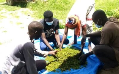 Ferme Hayat : des bio-pesticides locaux pour sauver les cultures et l’agriculture durable