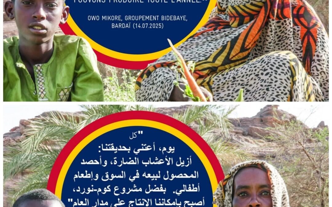 𝐂𝐎𝐌𝐍𝐎𝐑𝐃 : l’UE, la France et l’Allemagne au chevet du développement agricole au Nord du Tchad