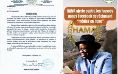 HAMA met en garde contre la prolifération des fausses pages Facebook se réclamant « médias en ligne »