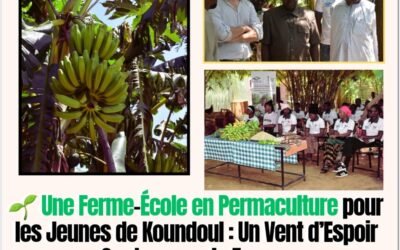 Une Ferme-École en Permaculture pour les Jeunes de Koundoul : Un Vent d’Espoir Soutenu par la France