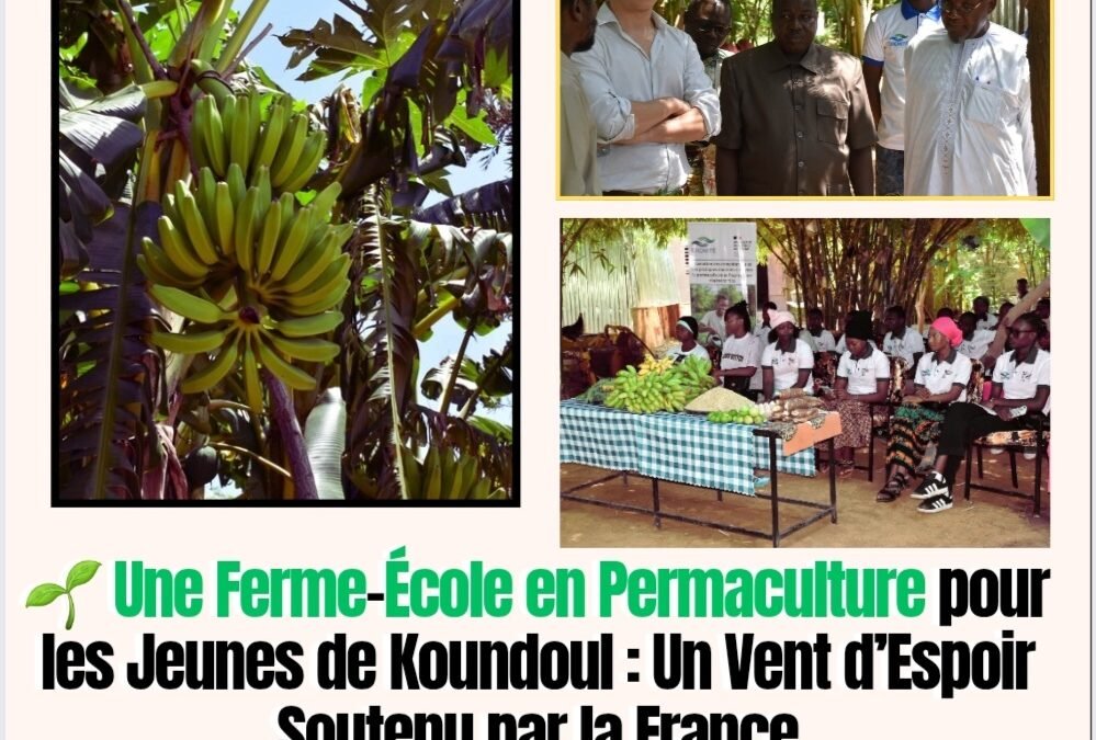 Une Ferme-Ăcole en Permaculture pour les Jeunes de Koundoul : Un Vent dâEspoir Soutenu par la France