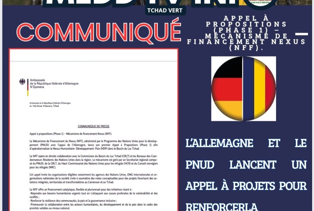 L’Allemagne et le PNUD lancent un appel à projets pour renforcer la résilience et la paix dans le Bassin du Lac Tchad