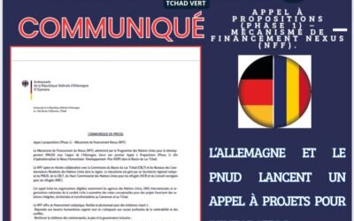 L’Allemagne et le PNUD lancent un appel à projets pour renforcer la résilience et la paix dans le Bassin du Lac Tchad