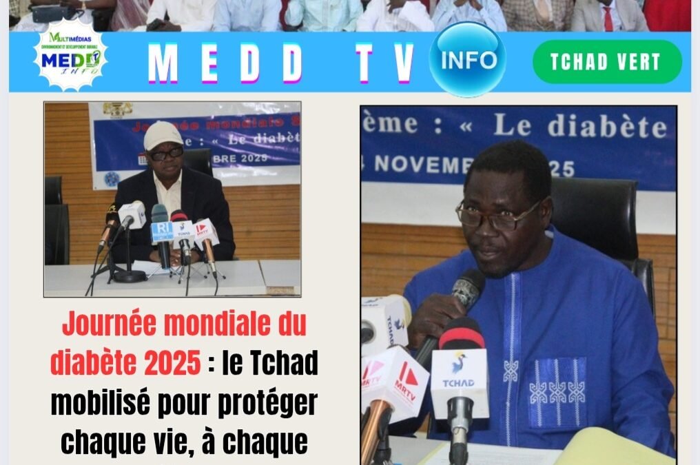 Journée mondiale du diabète 2025 : le Tchad mobilisé pour protéger chaque vie, à chaque étape
