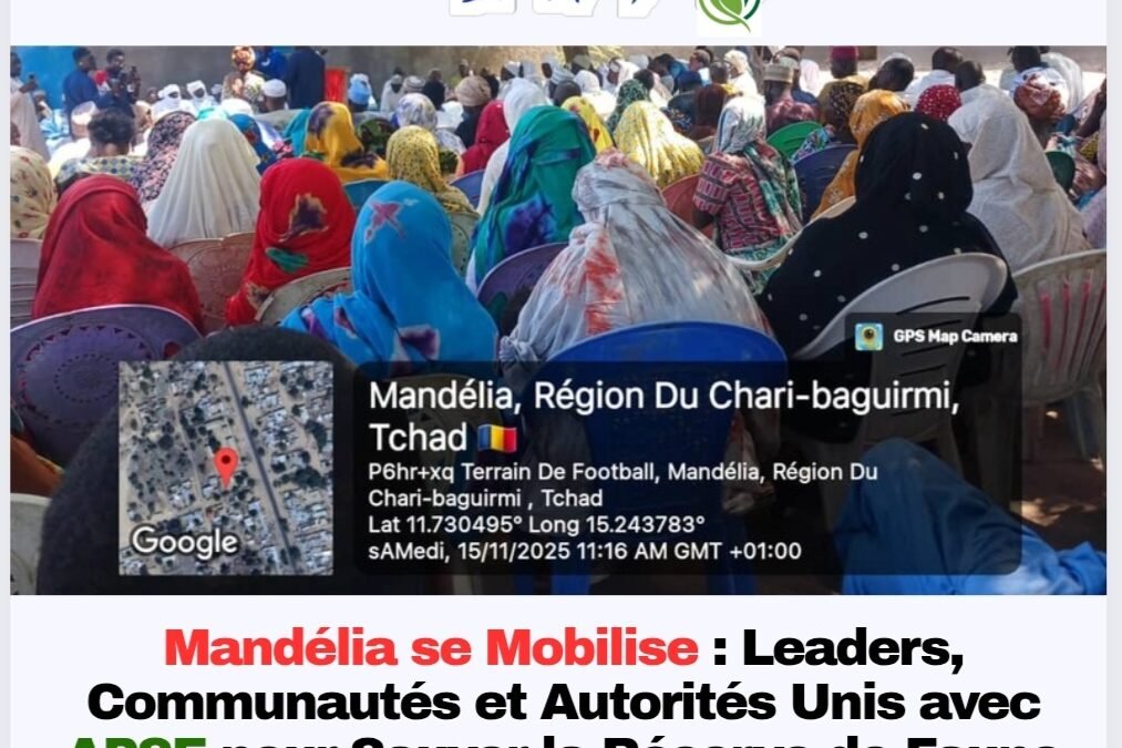 Préserver la Réserve de Mandélia : APSE Tchad Mobilise Autorités et Communautés pour une Action Collective