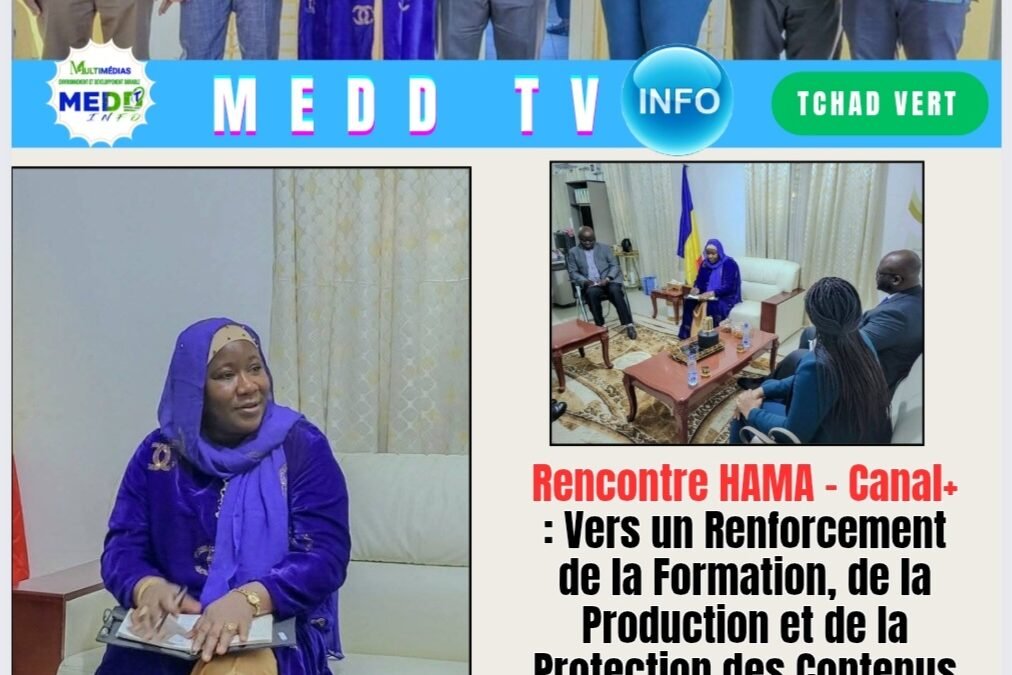 Rencontre HAMA – Canal+ : Vers un Renforcement de la Formation, de la Production et de la Protection des Contenus Audiovisuels