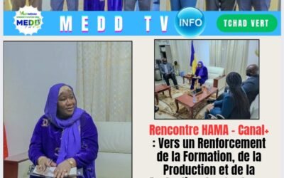 Rencontre HAMA – Canal+ : Vers un Renforcement de la Formation, de la Production et de la Protection des Contenus Audiovisuels