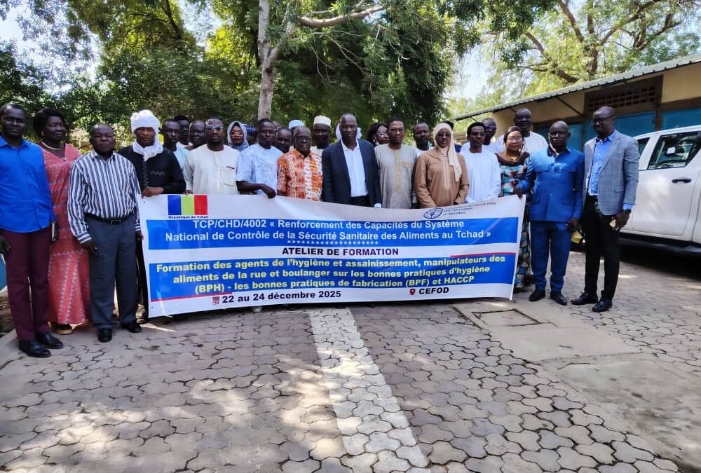 Sécurité sanitaire des aliments : plus de trente agents d’assainissement formés par la FAO à N’Djamena