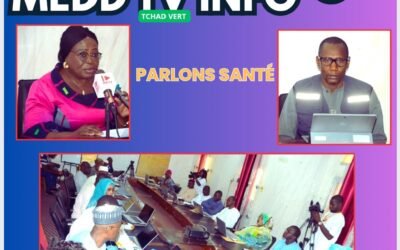 Pandemic Fund : le Tchad fait le point sur la surveillance et la riposte aux menaces sanitaires