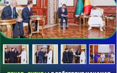 Tchad–Chine : le Président Mahamat Idriss Déby Itno réaffirme le partenariat stratégique avec la CNPCIC