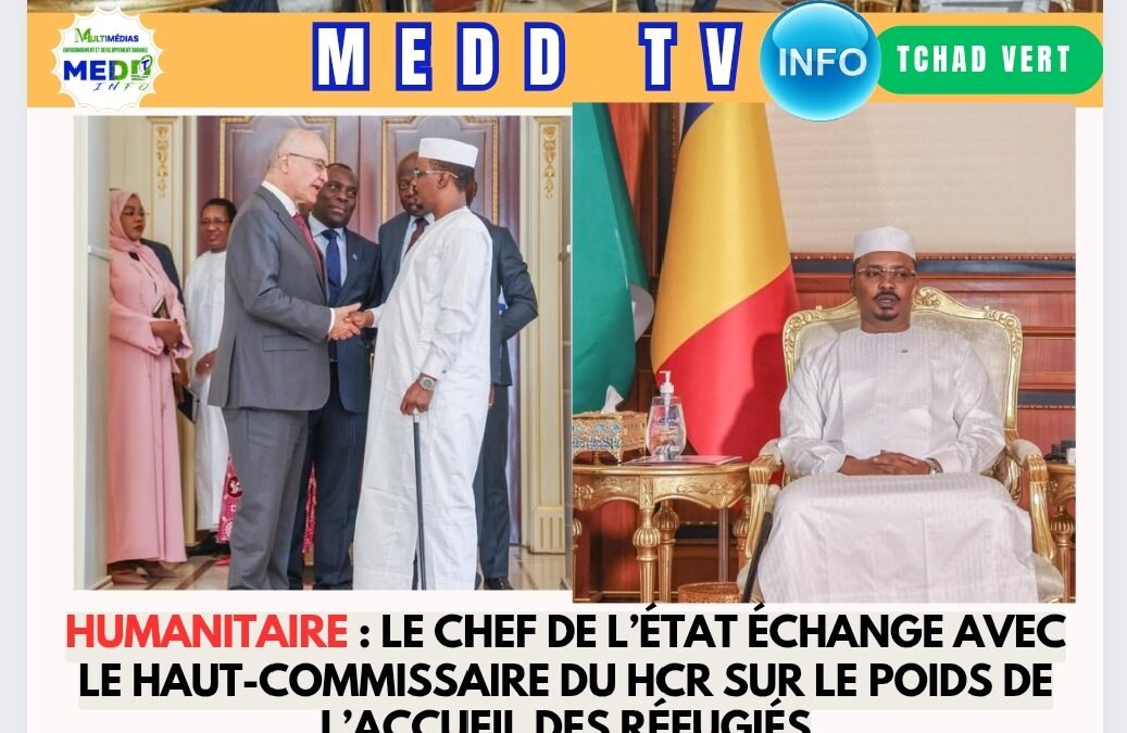 Humanitaire : le Chef de l’État échange avec le Haut-Commissaire du HCR sur le poids de l’accueil des réfugiés