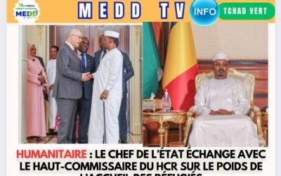 Humanitaire : le Chef de l’État échange avec le Haut-Commissaire du HCR sur le poids de l’accueil des réfugiés