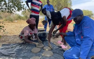 Guéra : ProSARG dynamise la résilience agro-pastorale par l’innovation à la Ferme Hayat de Mongo
