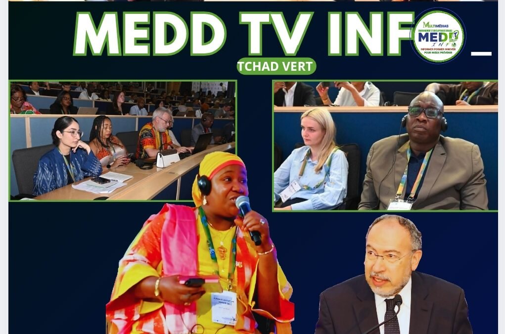 Pretoria 2026 : l’Afrique à l’avant-garde de la gouvernance numérique, la HAMA du Tchad au cœur des décisions internationales