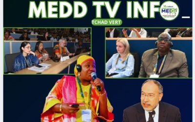 Pretoria 2026 : l’Afrique à l’avant-garde de la gouvernance numérique, la HAMA du Tchad au cœur des décisions internationales